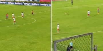 La insólita multa al Deportivo Pasto: 5 millones por un perro invasor