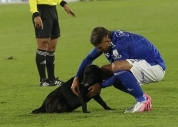 ¿Sanción para Millonarios por el perro que ingresó a El Campín?