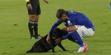¿Sanción para Millonarios por el perro que ingresó a El Campín?