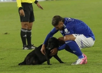 Millonarios