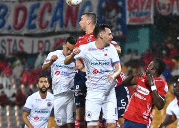 DIm vs pasto