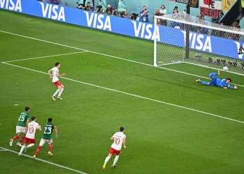 Memo Ochoa