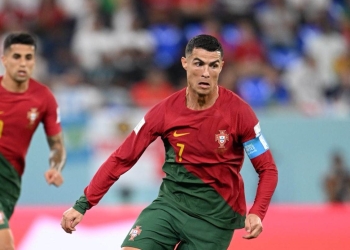 El bicho lo hizo: ¡Récord en mundiales!