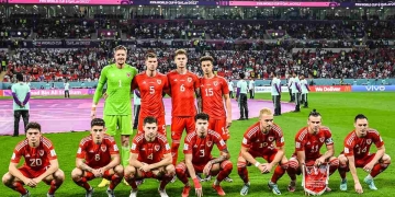 Gales volvió a hacerlo: ¿Por qué forman así en las fotos?