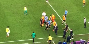 La furia charrúa. Molestia en su eliminación