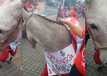 Se pusieron raras las cargadas: hinchas de América llevaron una burra al Pascual
