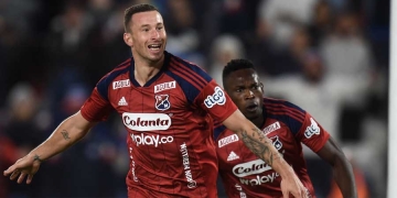 Estadísticas: Las posibilidades del DIM para clasificar