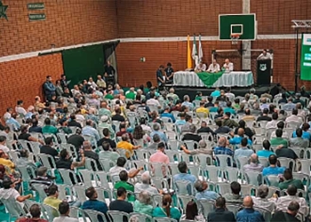 Deportivo Cali, tras la Asamblea: Ley 560 y el plazo hasta el lunes