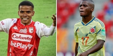 Bolillo Gómez confirmó más fichajes para Junior