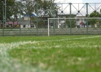 Organización Exitosa de un Torneo de Fútbol Aficionado Local: Pasos Clave