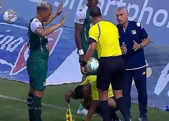 Video: ¿La persona que agredió al juez de línea en el estadio Deportivo Cali?
