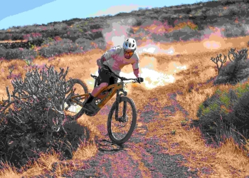 Specialized
