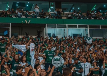 Para destacar: el top 3 y el total de asistencias de la hinchada del Cali en el semestre