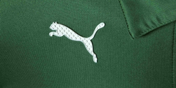 Palmeiras y Puma lanzan camiseta inspirada en deportes a motor