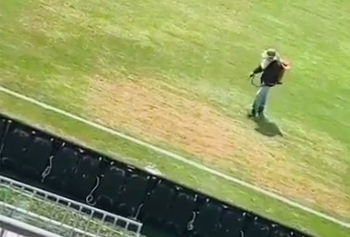Video: Así pintan de verde la horrible cancha del Estadio Sierra Nevada