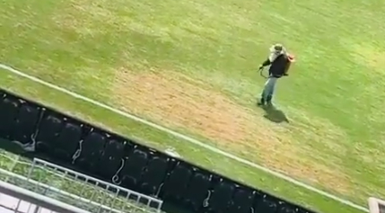 Video: Así pintan de verde la horrible cancha del Estadio Sierra Nevada