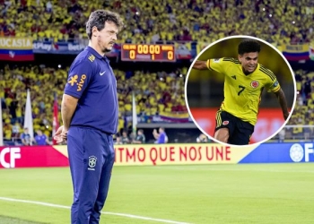 Fernando Diniz sobre Colombia