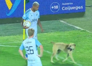 ¡FPC! Perro en la cancha y fallas en las luminarias en el mismo partido