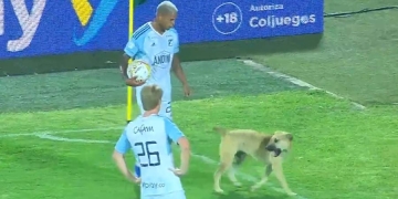 ¡FPC! Perro en la cancha y fallas en las luminarias en el mismo partido