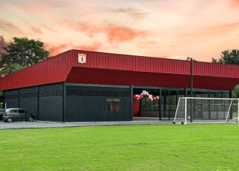 Ataque de abejas en la sede de Cascajal: Reporte oficial