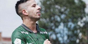 Ceppelini, del dicho al hecho