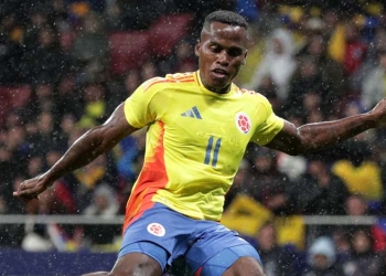 “Pelear la Copa América” y “que la Selección pueda crecer a niveles que nadie imagina”