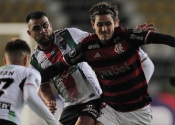 Atento, Millonarios: ¡Lo que pasó entre Palestino y Flamengo!