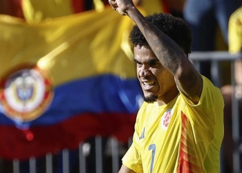 Cuántos goles tiene Luis Díaz en Copa América y a cuántos está del máximo goleador colombiano