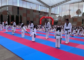 Karate Colombia