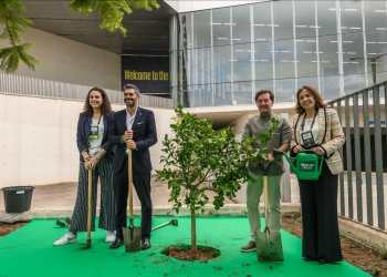 WFS / Forever Green