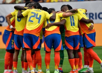 seleccion colombia nestor lorenzo copa america 2024