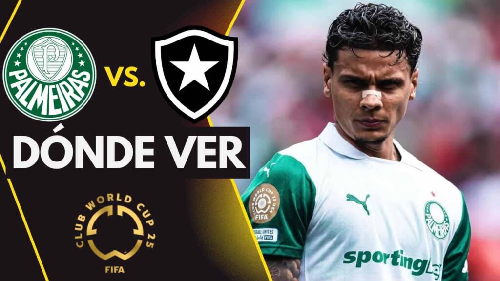donde ver palmeiras vs botafogo mundial de clubes tv online streaming