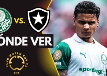 donde ver palmeiras vs botafogo mundial de clubes tv online streaming