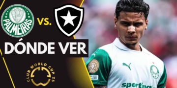donde ver palmeiras vs botafogo mundial de clubes tv online streaming