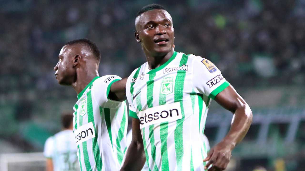 atletico nacional kevin viveros delantero compra venta facundo batista uruguayo alfredo morelos chicho arango javier gandolfi gustavo fermani fichajes liga betplay colombia futbol colombiano