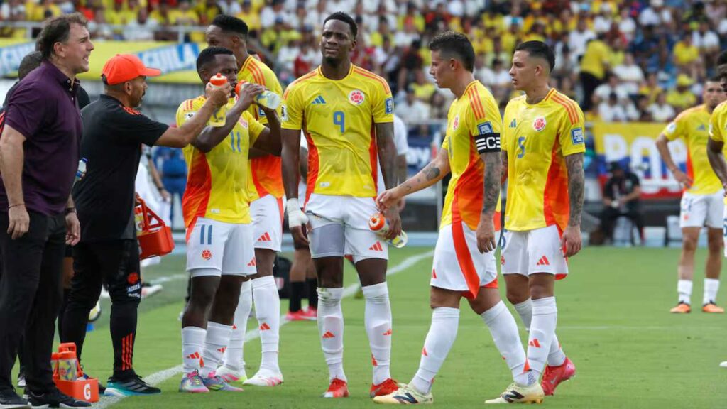 seleccion colombia eliminatorias mundial estados unidos 2026 amistosos mexico canada nestor lorenzo ramon jesurun