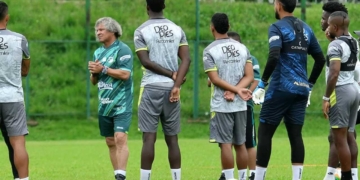 deportivo cali nuevo arquero silvano marcos espindola alberto gamero amigos millonarios alejandro rodriguez contratacion refuerzo incorporacion contratados mercado fichajes futbol profesional colombiano fpc liga betplay dimayor