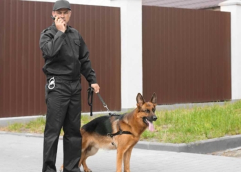perros vigilancia colombia retiro descanso ley lorenzo entidades ministerio salud eps humanos tecnologia