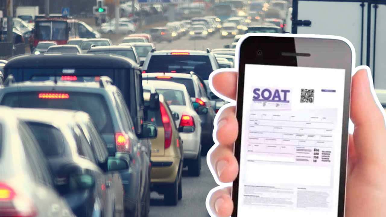 vehiculos exentos soat colombia proyecto ley 2025