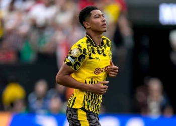 jobe bellingham borussia dortmund bundesliga