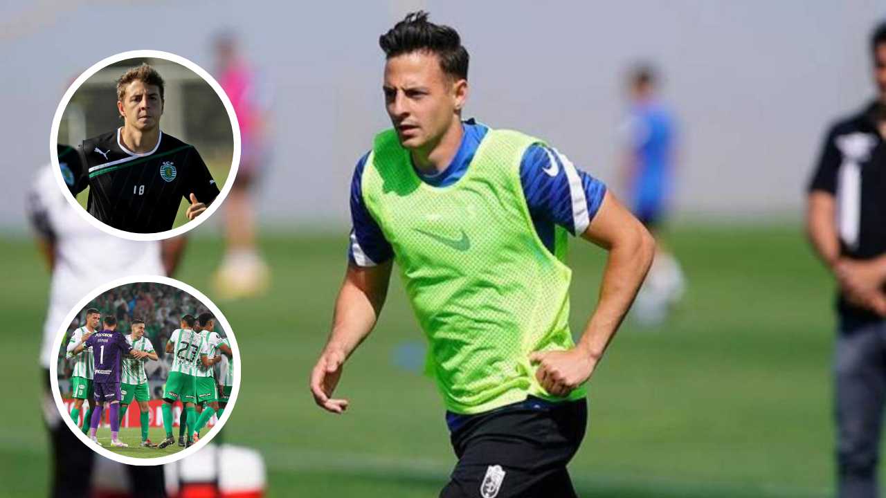 santiago arias atletico nacional fichaje incorporacion refuerzo verdolaga hincha hinchada aficion andres felipe roman lateral derecho atanasio girardot medellin gustavo fermani sebastian arango botero familia ardila lulle duenos equipo futbol profesional colombiano fpc liga betplay dimayor seleccion colombia mundial nestor lorenzo