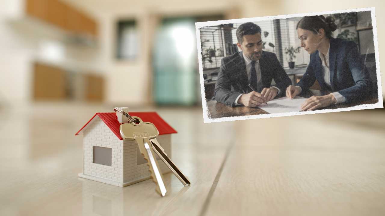 contratos arriendo colombia arrendador arrendatario inquilino tramites cobros polizar estudio papeles documentos ley 820 mercado inmobiliario inmobiliarias aseguradoras inmueble casa apartamento lote finca local vivienda entidades bancarias bancos prestamo