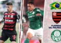 donde ver flamengo palmeiras brasileirao tv online