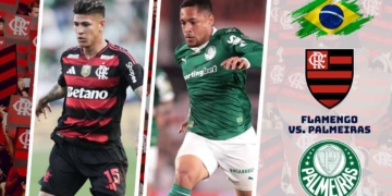 donde ver flamengo palmeiras brasileirao tv online