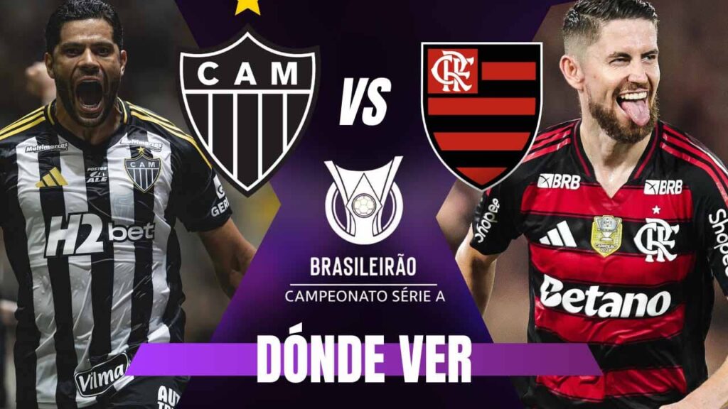 donde ver mineiro flamengo brasileirao tv online