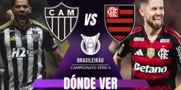donde ver mineiro flamengo brasileirao tv online