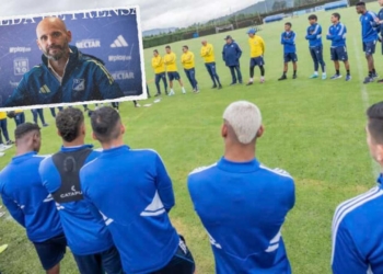 millonarios mercado fichajes contrataciones refuerzos contratados incorporaciones jugadores plantilla profesional ptretemporada entrenamientos hernan torres director tecnico dt alex luna argentino instituto cordoba duenos equipo dirigentes dirigencia maximo accionista enrique camacho gustavo serpa gato perez deportivo manager ariel michaloutsos cupo extranjeros bruno savio futbol profesional colombiano fpc liga betplay dimayor