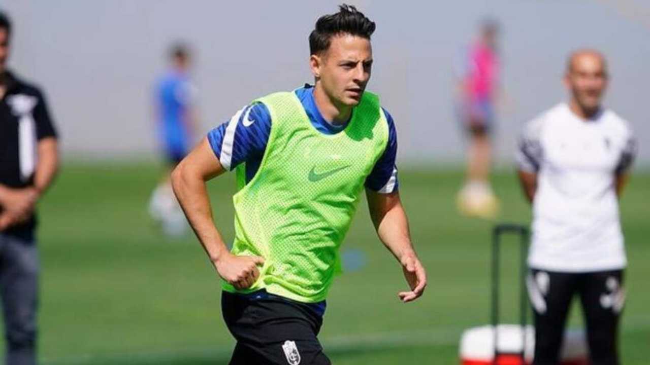 atletico nacional santiago arias interes racing avellaneda argentina gustavo costas jugador libre mercado fichajes refuerzos incporporaciones lateral andres felipe roman plantilla jugadores gustavo fermani duenos equipo futbol profesional colombiano fpc liga betplay dimayor colombia copa libertadores conmebol sudamericana