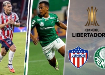 junior palmeiras donde ver hoy vivo online plataformas streaming transmision transmisiones emision emisiones app aplicaciones canal canales tv television en directo senal abierta youtube futbol gratis paginas web sitios internet a que hora juegan horarios países donde pasan como ver copa libertadores espn directv cartagena jaime moron win sports