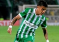 atletico nacional nicolas rodriguez regresa entrenamientos equipo club grupo pricnipal jugadores plantilla profesional caso acusacion fiscalia avanza pruebas futbol profesional colombiano fpc liga betplay dimayor diego arias dt entrenador tecnico